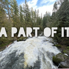 A Part of It