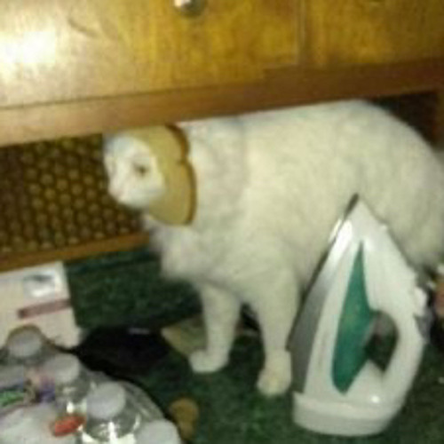 Stream episode Home Alone kazoo cover by crappy.kazoo podcast Listen