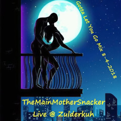 Gotta Let You Go Mix 8-4-2018 Live @ Zulderkuh