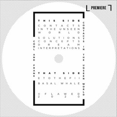 PREMIERE: Cool & Frank - Solutions Concepts Dream Interpretations (FLAWED001)