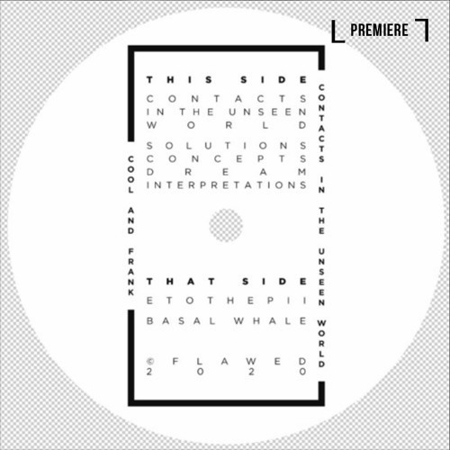 PREMIERE: Cool & Frank - Solutions Concepts Dream Interpretations (FLAWED001)