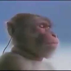 jellyy - sing (remix) 556kurumi