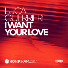 HM006 / Luca Guerrieri - I Want Your Love