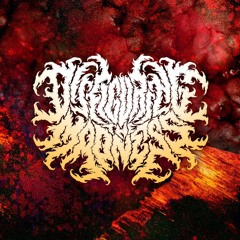 Disfiguring The Madness - Los Usurpadores