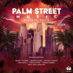 Entiendo Lauri Garcia Palm Street Music  Hoy seguro que amanezco en la pisteada Que las cerveza o el