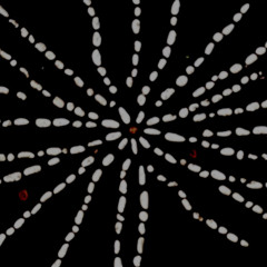 Rhythmic Storm -  Cycle