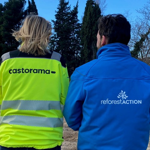 Découvrez comment Castorama agir pour la préservation des forêts