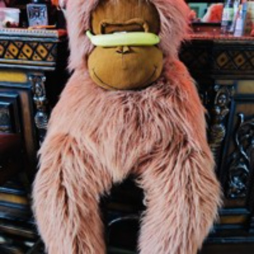 Miss_Flanger @ 🙊 Vorbeben 🙈 | MAI 2025 - Monkeys on Acid