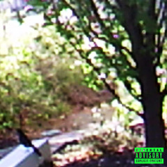 Lonely Freestyle II