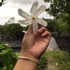 Heartstrings-Kolohe Kai