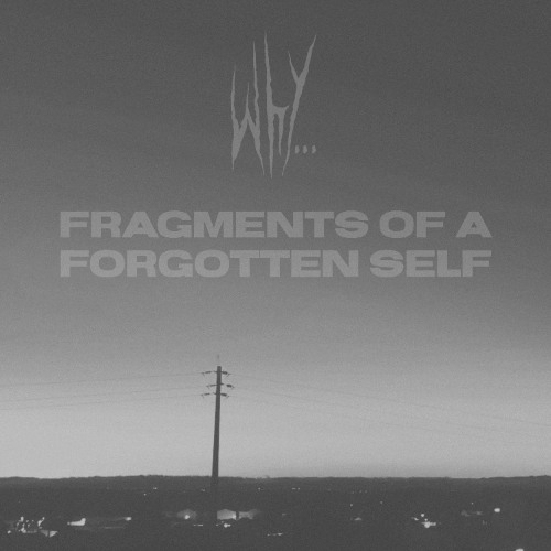 Fragments of a Forgotten Self