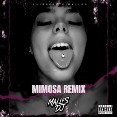 MIMOSIN - LUIS SAKER (MALLES DJ TECH HOUSE REMIX)