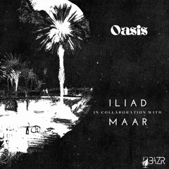 oasis