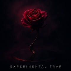 Experimental Trap