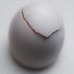 buzz-6-5-24-Chuck-Collins