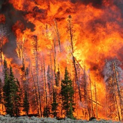 sumthing is burnnning