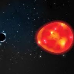 Black Hole (Melodic House)