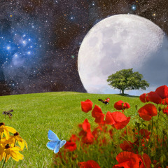 Drops of Life in the Cosmos