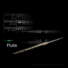 Xsample Flute (Improvisation 1)