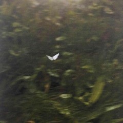 rûyalarda yürümek