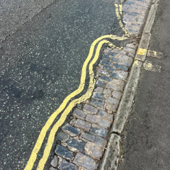 Circadian Rhythms w_ Caro December