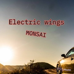 Electric wings