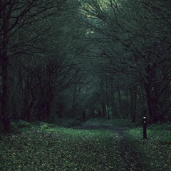 all the things she said hardstyle (sped up/nxc)