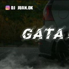 GATA ONLY - EDIT TURREO - DJ JUAN