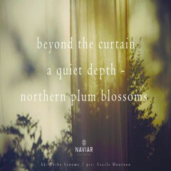 Boson Spin - Beyond the curtain [naviarhaiku381]