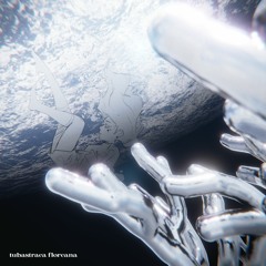 tubastraea floreana (feat. zulkarnain & whish)