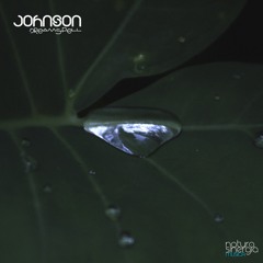 Johnson - Dreamspell (Original Mix) 48Khz:24Bits