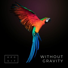 Without Gravity