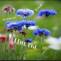 ъэ nesergey егор цветы jerk