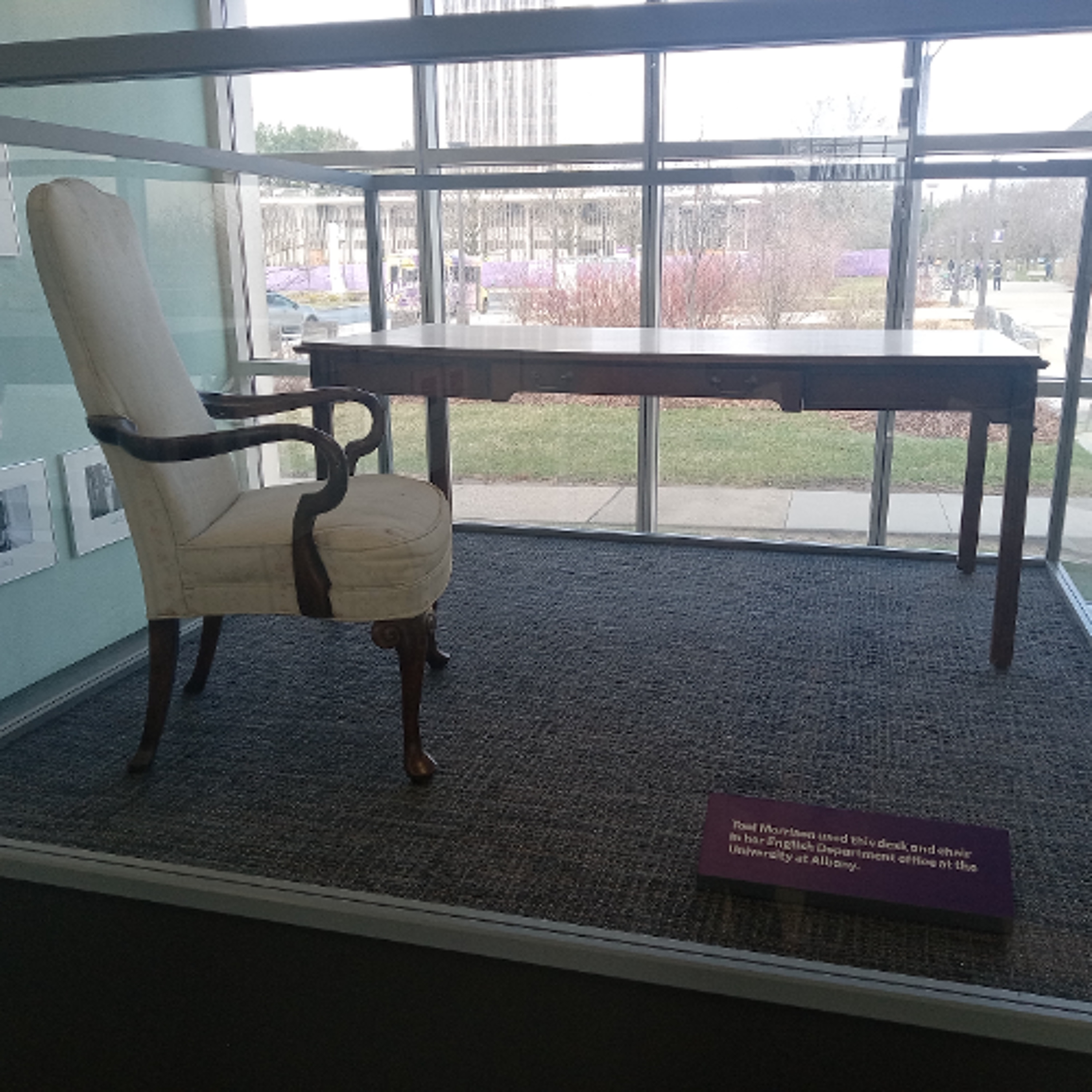 Toni Morrison Exhibit at UAlbany episode artwork
