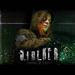 S.T.A.L.K.E.R - Гимн СТАЛКЕРОВ (2022) [ MALIW4N ]