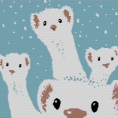 Weasels & Stoats