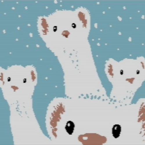 Weasels & Stoats