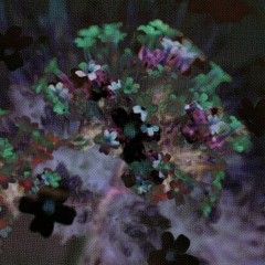 Obwigszyh – initial phase (ft. OOO)