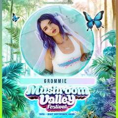 Mushroom Valley 2025 - Mainstage