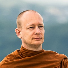 How to Become a Dhamma-Tiger?