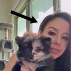 Original vixen dog video