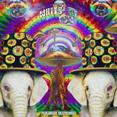 White Hat - Psilocybe Elephantis