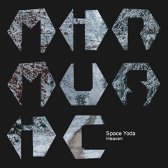 Space Yoda - Utopia (Original Mix)