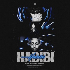 HABIBI W/ SAUSH +PROD. VEINN+