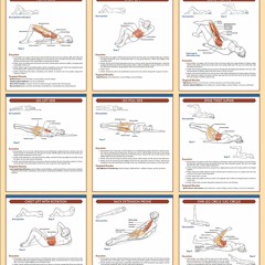 free read Fundamental Pilates (Anatomy)