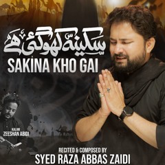 Sakina (s.a) Kho Gai Hai  --  Syed Raza Abbas Zaidi  --  2024