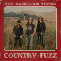 Hard Out Here For A Country Boy (feat. Chris Janson & Travis Tritt)