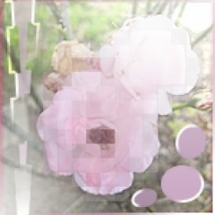 pink pastures (melodies from astrid + facy)