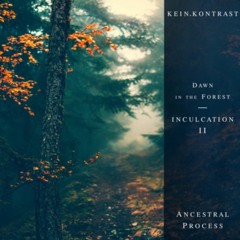 Kein.Kontrast - Inculcation 02 - Podcast Series