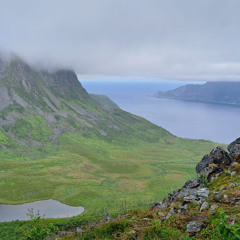 Rainy North Sea Cliffs